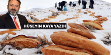 huseyinkayayazdi