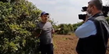 ibb-kurgu-video