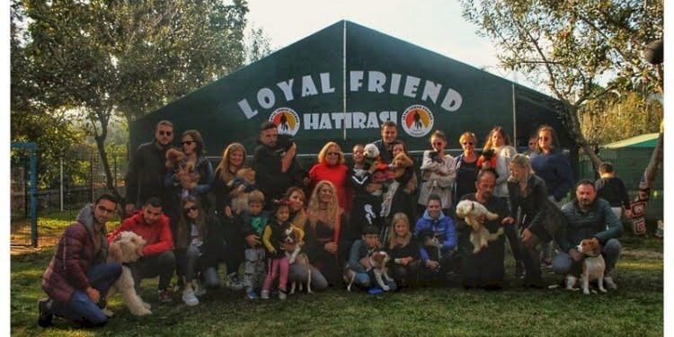 Köpeklerinizi Emanet Edebileceğiniz Güvenilir Bir Yuva : Loyal Friend