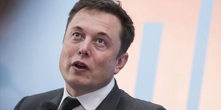 Elon Musk beynine çip takılan domuzu tanıttı