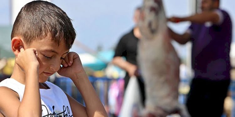 ‘Çocukların önünde kurban kesmek şiddete meyli artırır’
