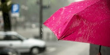 image_750x_5f3a23457b4f0