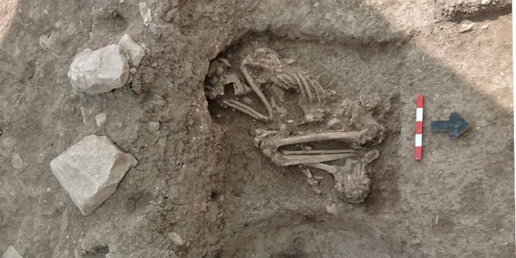 Bilecik’te apartman bahçesindeki kazıda 8 bin 500 yıllık insan iskeleti bulundu