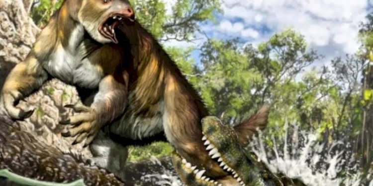 En güçlü ısırık, 13 milyon yıllık kaval kemiğinde bulundu