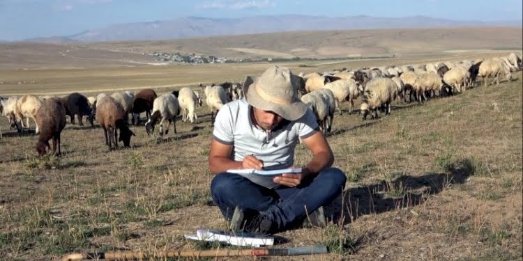 Çobanlık yaparken çalıştı, tıp fakültesini kazandı