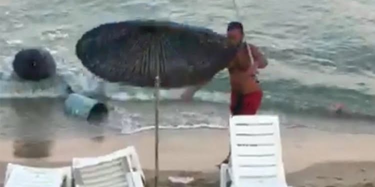 Aydın’da bir ‘halk düşmanı’nın korkunç görüntüleri! Yaptıkları akıl alır gibi değil