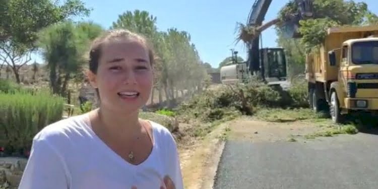 Belediyenin ağaç katliamını gözyaşlarıyla anlattı