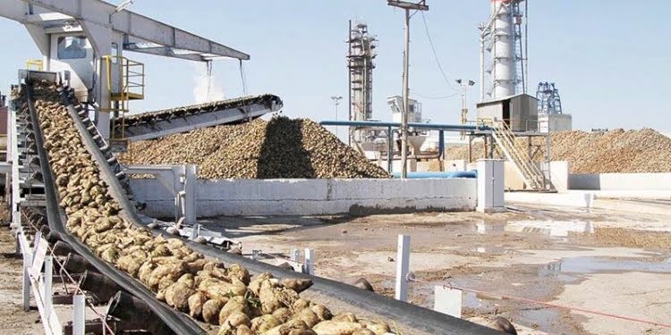 ‘Şeker’de ligden düştük