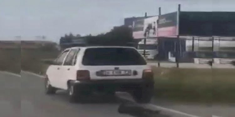 Aracının arkasına bağladığı köpeği metrelerce sürükledi