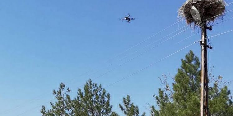 Göçe başlayan leyleklerin yuvalarını dronla tespit edip, bakım yaptılar
