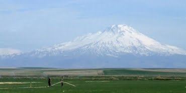 image_750x_5f689ab796e32