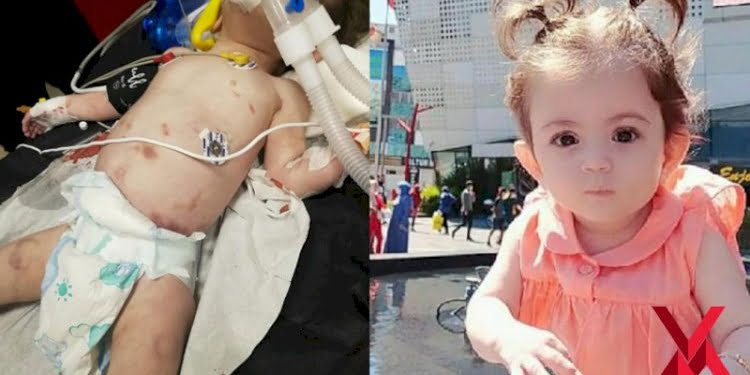 ‘Hayat’ bebek hayatını yaşayamadı: İşkence ile öldürüldü!