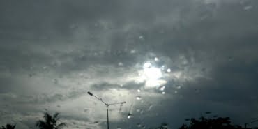 image_750x_5f78158ed566c