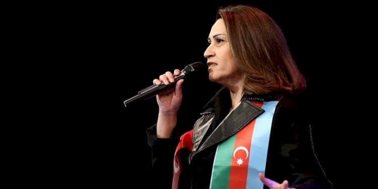 Azerbaycanlı sanatçı Azerin Başkentli müzikseverlerle buluştu