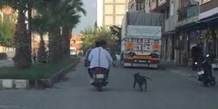 Caniler, köpeği tasmasından tutup motosikletin arkasından koşturdular