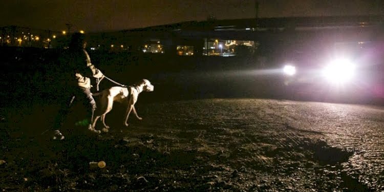 57. Antalya Altın Portakal Film Festivali ödülleri sahiplerini buldu