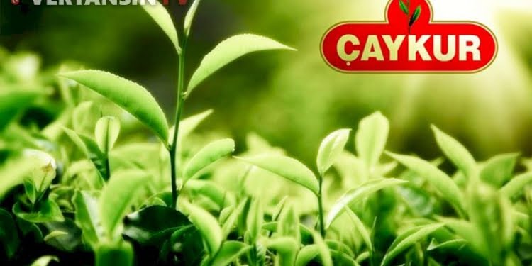 Reklam paraları kimlere aktı? ‘Varlık Fonu’na geçince zarar etmeye başladı’