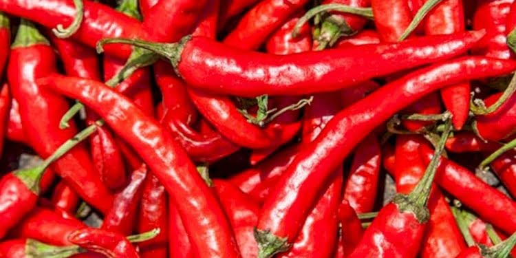 Biberlerin acılığını ölçen uygulama geliştirildi