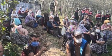 image_750x_5f9a906d94c09