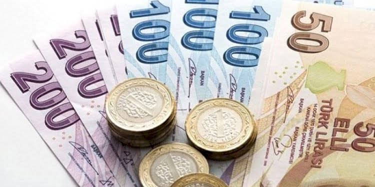 Türk Lirası dibi gördü!