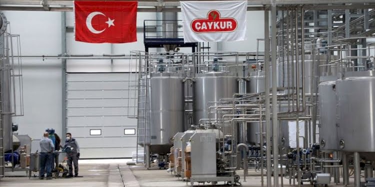 AKP’nin ÇAYKUR planı bu mu?