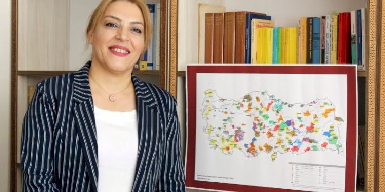 Üç kelimenin peşine düşüp dil haritası çıkardılar: Patates, domates, kedi…
