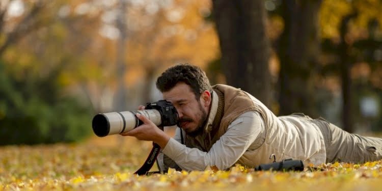 Kuş dedektifi sizi çağırıyor