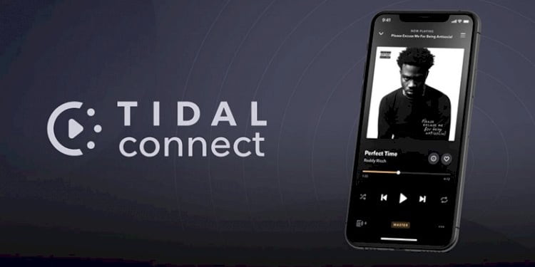Müzik dinleme uygulaması Tidal’a erişim engellendi