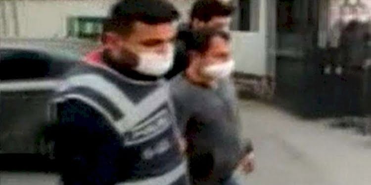 Hayvanlara yönelik cinsel içerikli söylemler paylaşan şahsın ilginç savunması