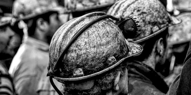 image_750x_5fca6f0111575