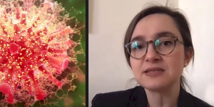 Türk bilim insanından yeni virüs için flaş sözler
