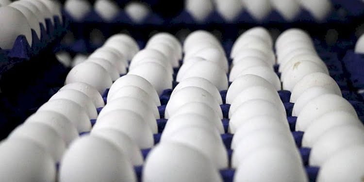 Yumurtadaki fahiş fiyatın sorumlusu kim?