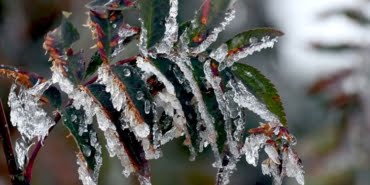 image_750x_60061b58b7a37