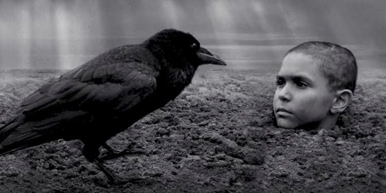 SİYAD, 2020’de vizyona giren en iyi 20 yabancı filmi seçti