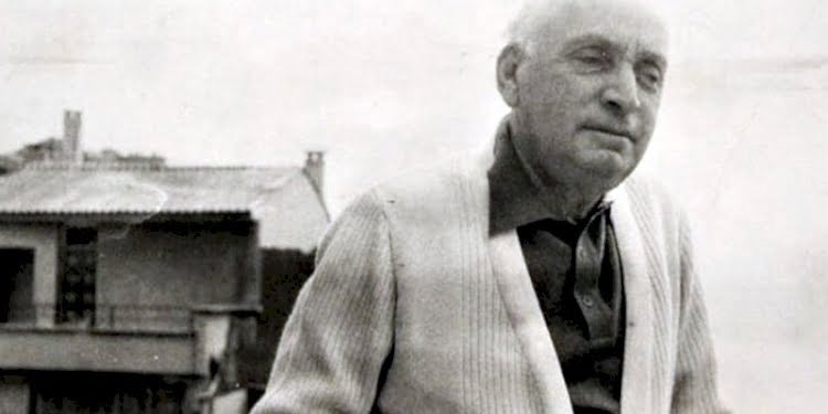 Tarık Zafer Tunaya kimdir?