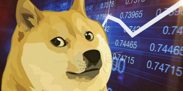 Dogecoin bir günde yüzde 812 artı, Robinhood işlemleri durdurdu