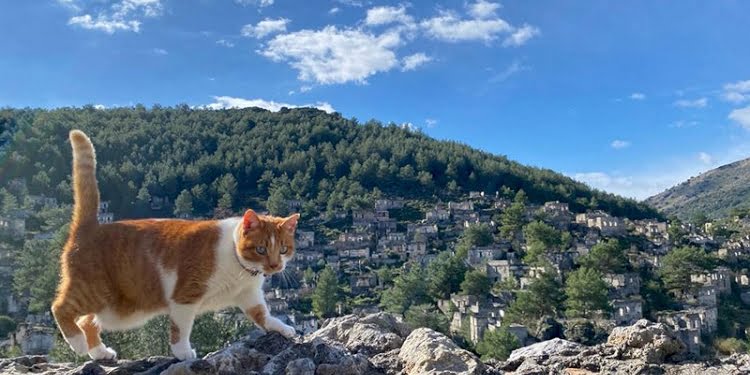 Pandemide bile turistlerin ilgi odağı: Hayalet köy