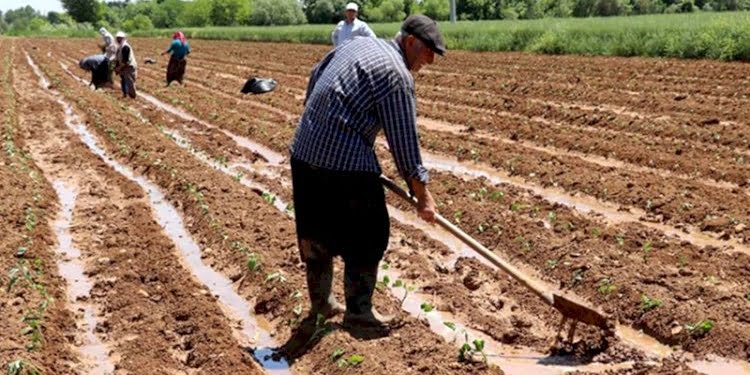 Çiftçi: Aşırı zamlara kılıf uyduruyorlar