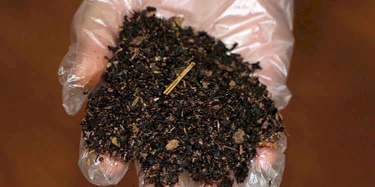 Aldığı çay paketlerinden çıkana inanamadı