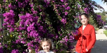 image_750x_601a6dbe42d53