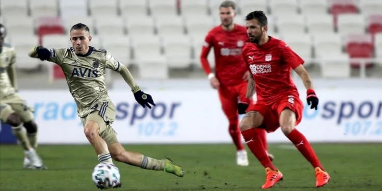 Fenerbahçe’ye Pelkas ve İrfan Can müjdesi