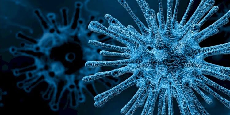 Dünyayı dehşete düşüren ihtimal: SARS-CoV-2 ile MERS birleşirse…