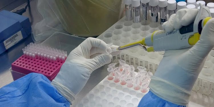 ‘Karadeniz mutasyonu’ ihtimaline genetik takip önerisi