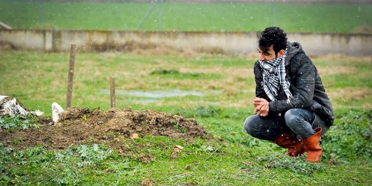 Her gün köpeğinin mezarı başında gözyaşı döküyor