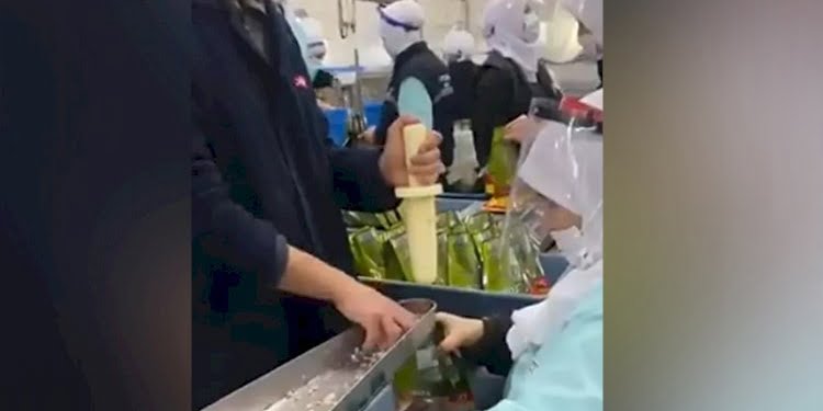 Ton balıklarının paketlenme görüntüleri tepki çekti