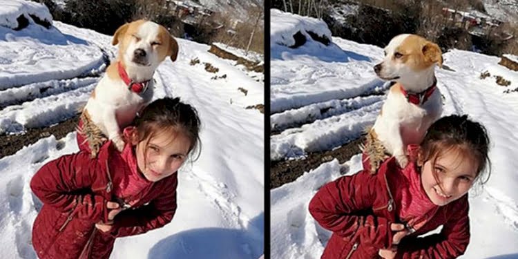Küçük Cemre’nin büyük yüreği… Hastalanan köpeğini sırtında veterinere götürdü