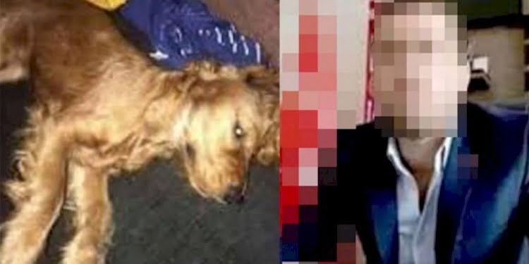 Köpeği tecavüz ederek öldürüldüğü iddia edilen kişi hakkında iddianame