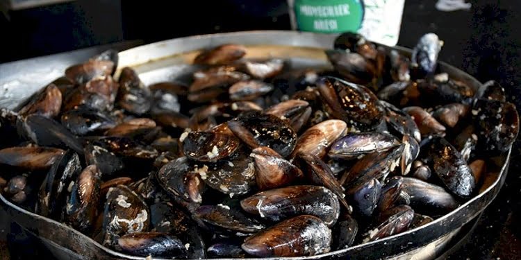Gıda Mühendislerinden ‘midye’ uyarısı