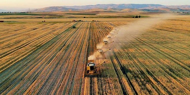 Tarım ürünlerinde enflasyon düşmüyor