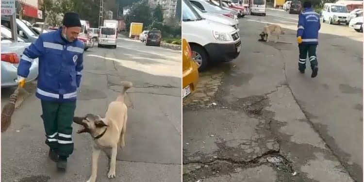 Temizlik işçisiyle köpeğin arasındaki ‘süpürge’ kavgası
